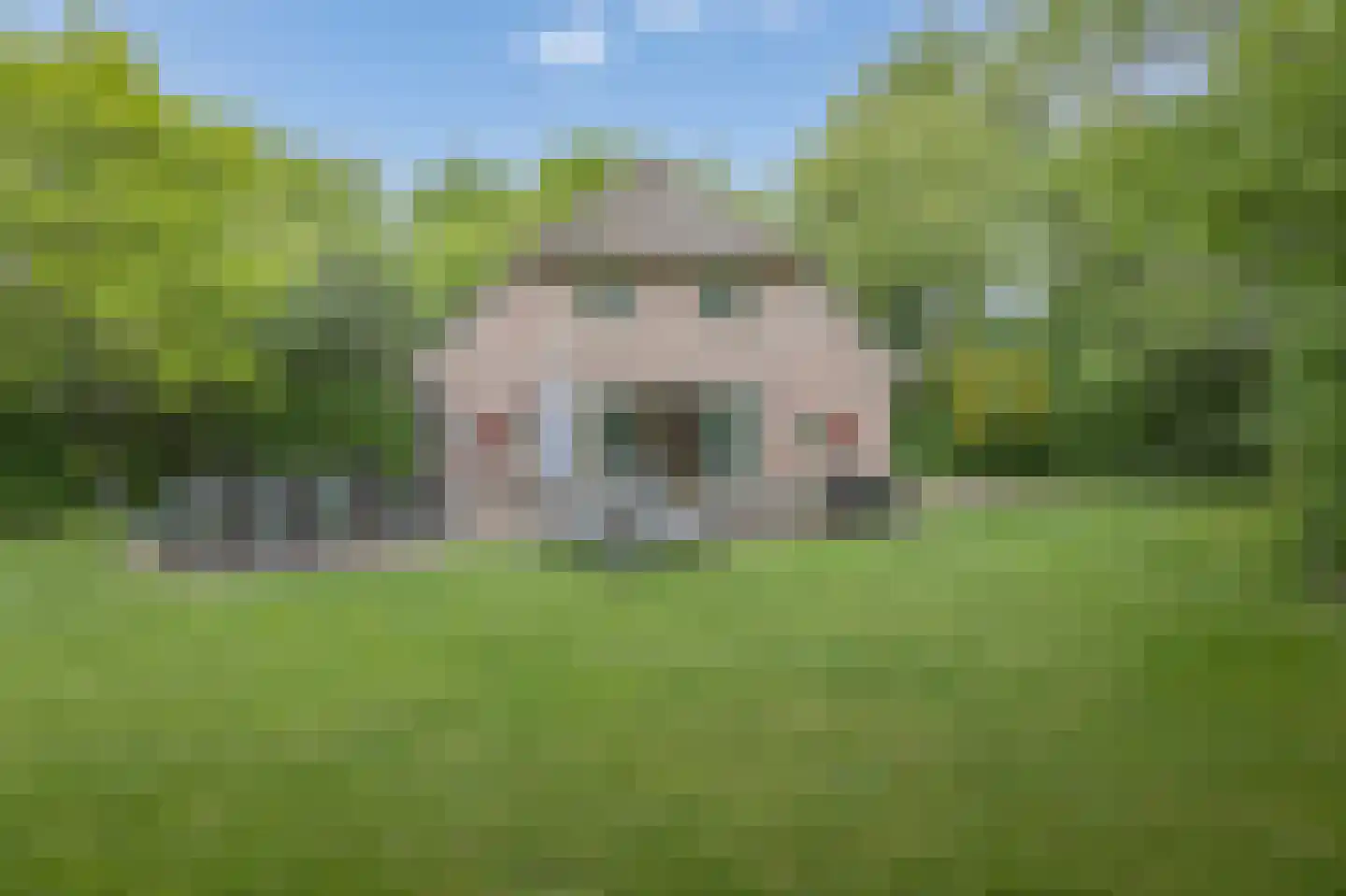 Buinerweg 8 546 Ees thumbnail 34