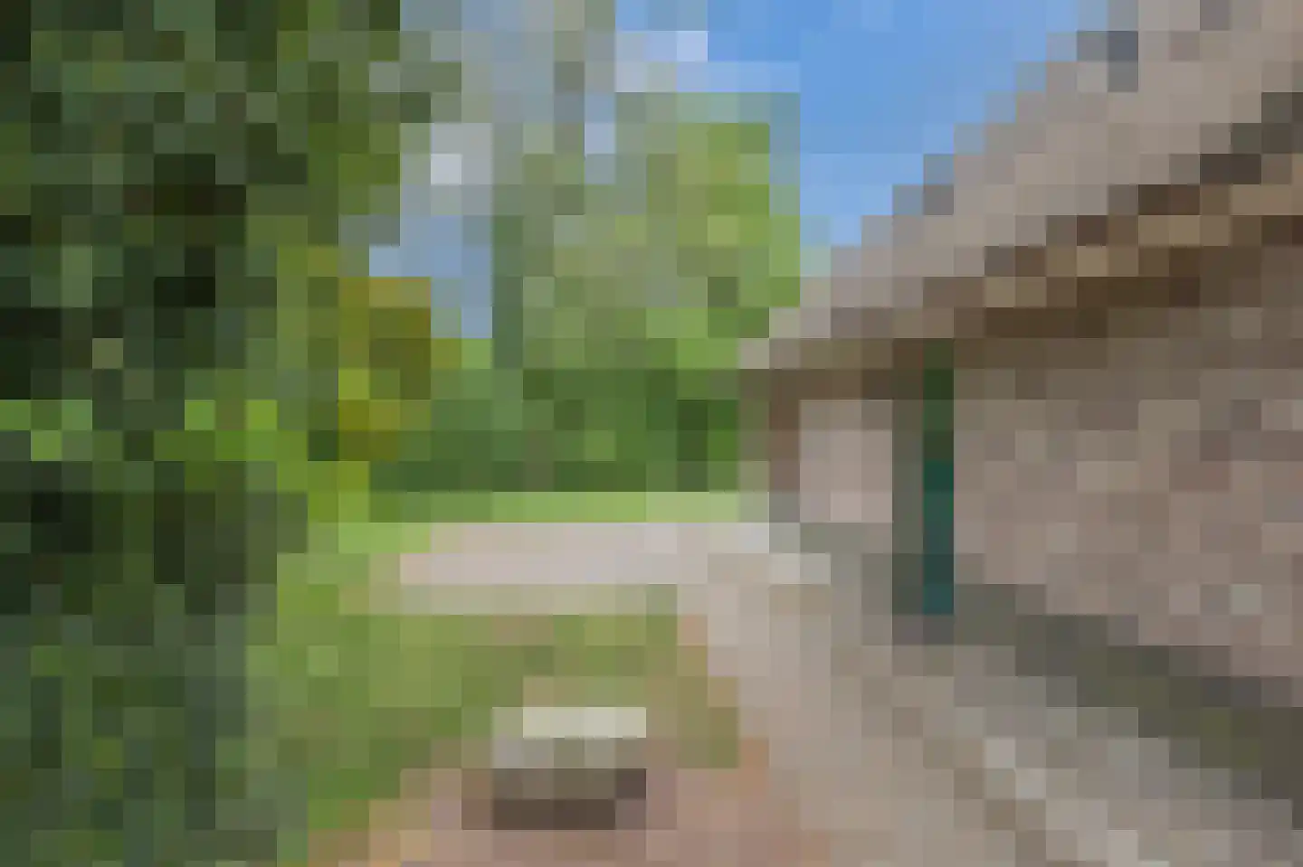 Buinerweg 8 546 Ees thumbnail 6