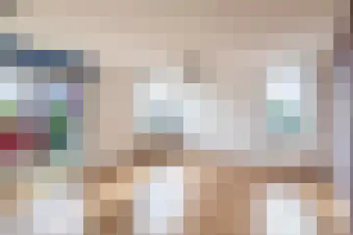 Buis 133 Maassluis thumbnail 24