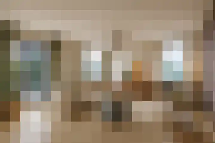 Buis 133 Maassluis thumbnail 25