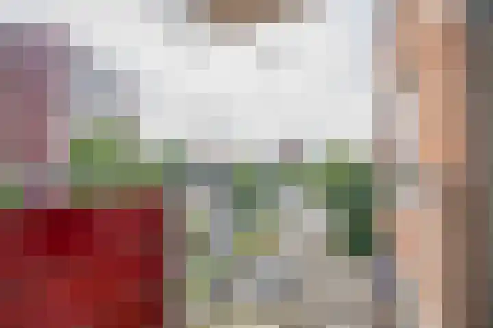 Buis 133 Maassluis thumbnail 27