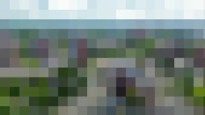 Buis 133 Maassluis thumbnail 35