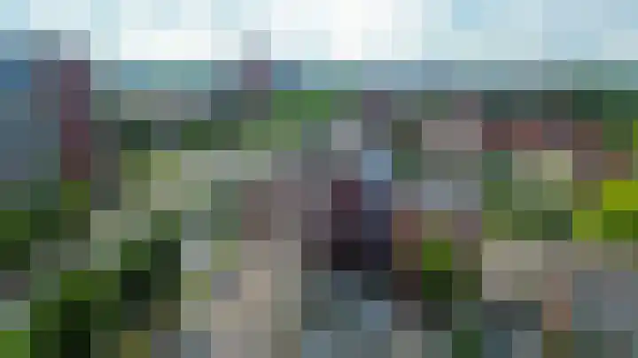 Buis 133 Maassluis thumbnail 4