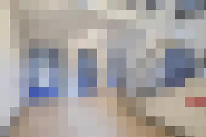 Buis 133 Maassluis thumbnail 9