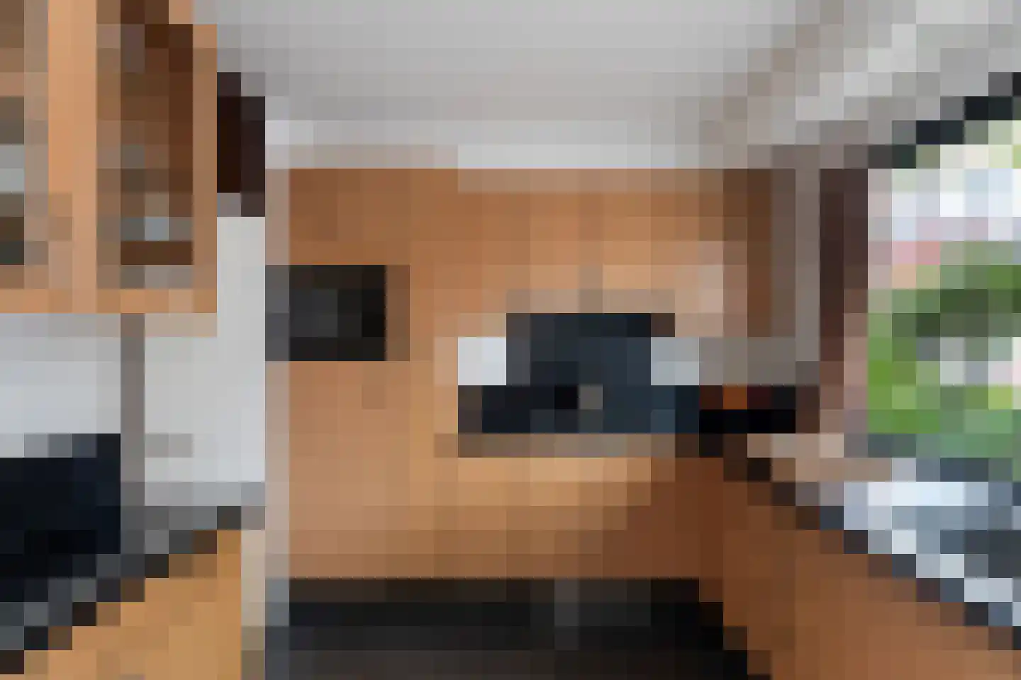Buis 14 Maassluis thumbnail 11