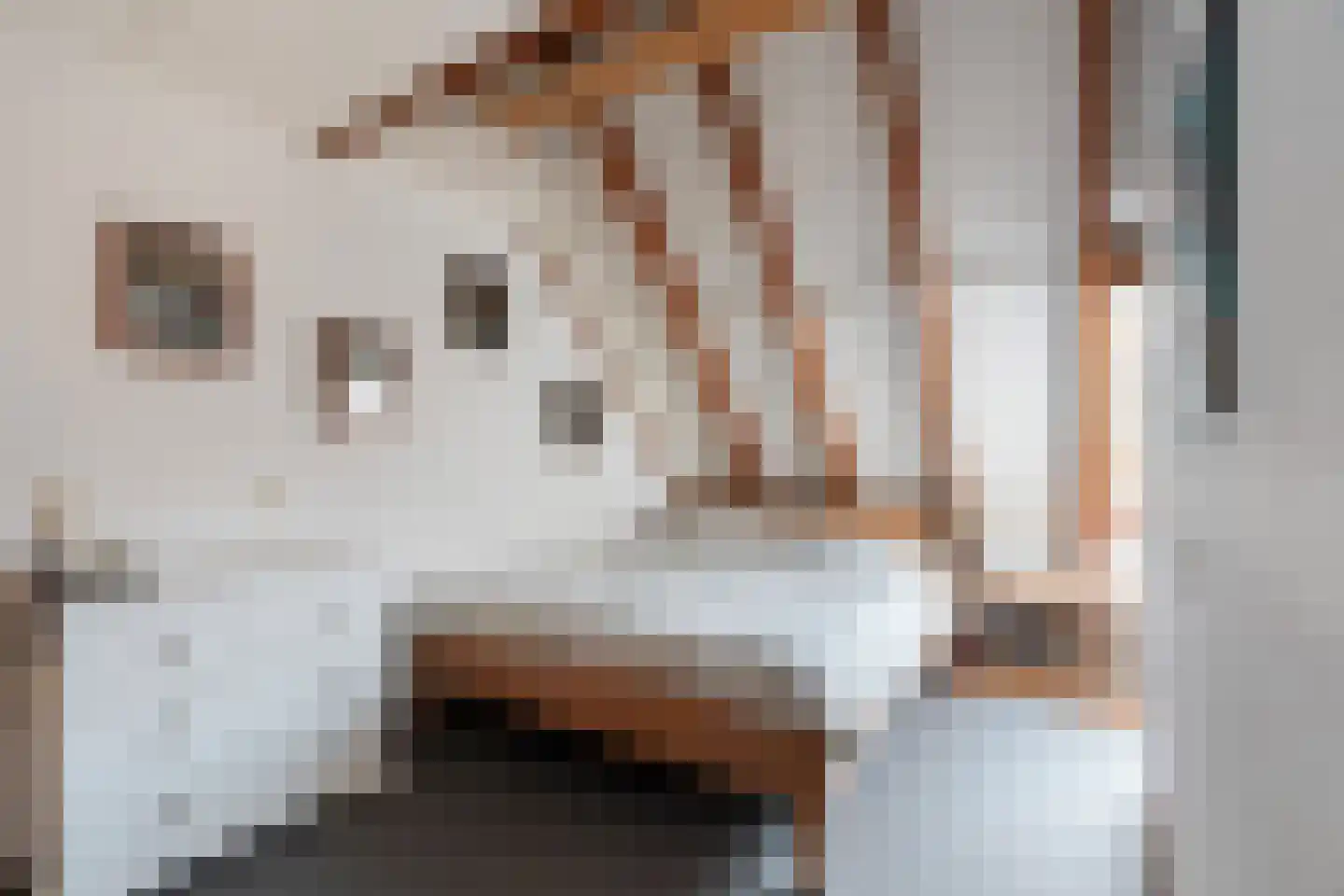 Buis 14 Maassluis thumbnail 17
