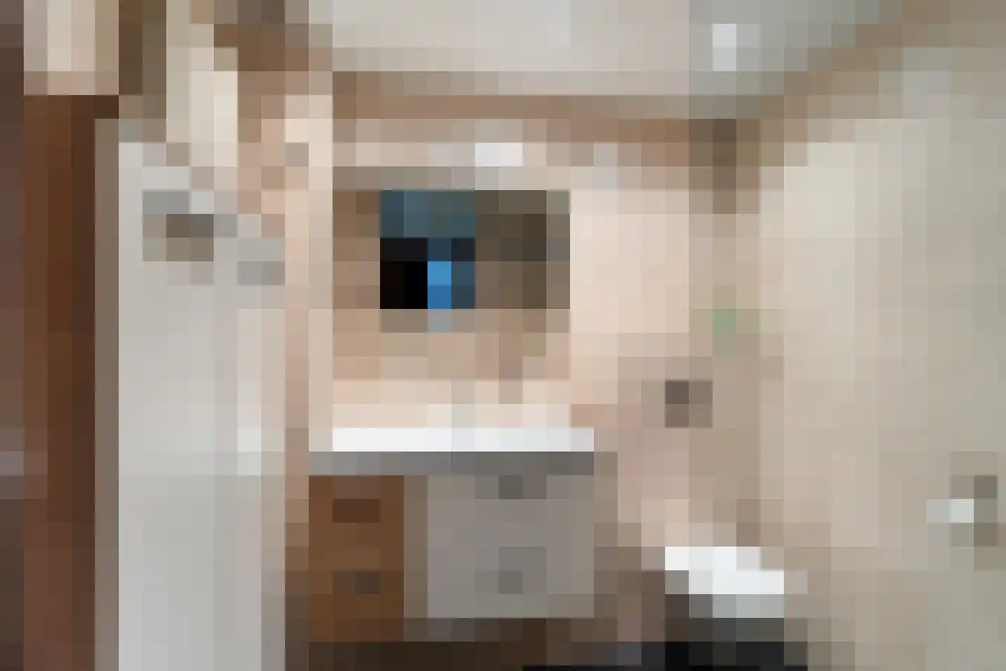 Buis 14 Maassluis thumbnail 20