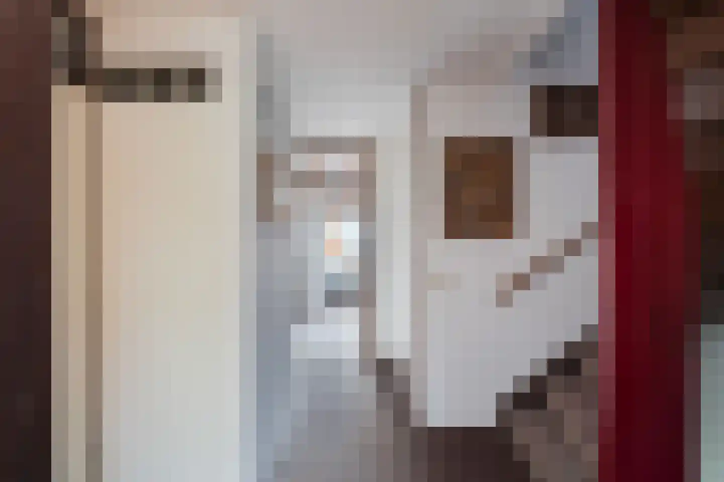 Buis 14 Maassluis thumbnail 28
