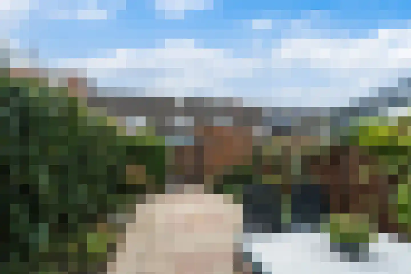 Buis 14 Maassluis foto 3