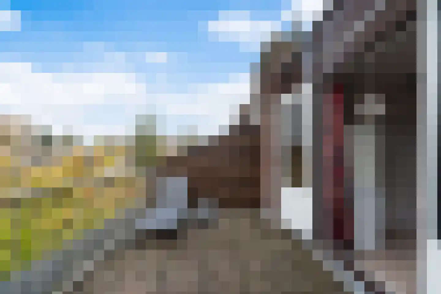 Buis 14 Maassluis thumbnail 32
