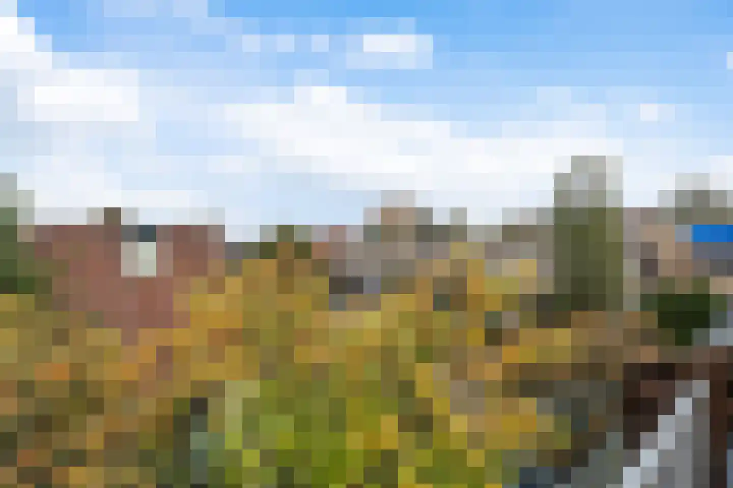 Buis 14 Maassluis thumbnail 34