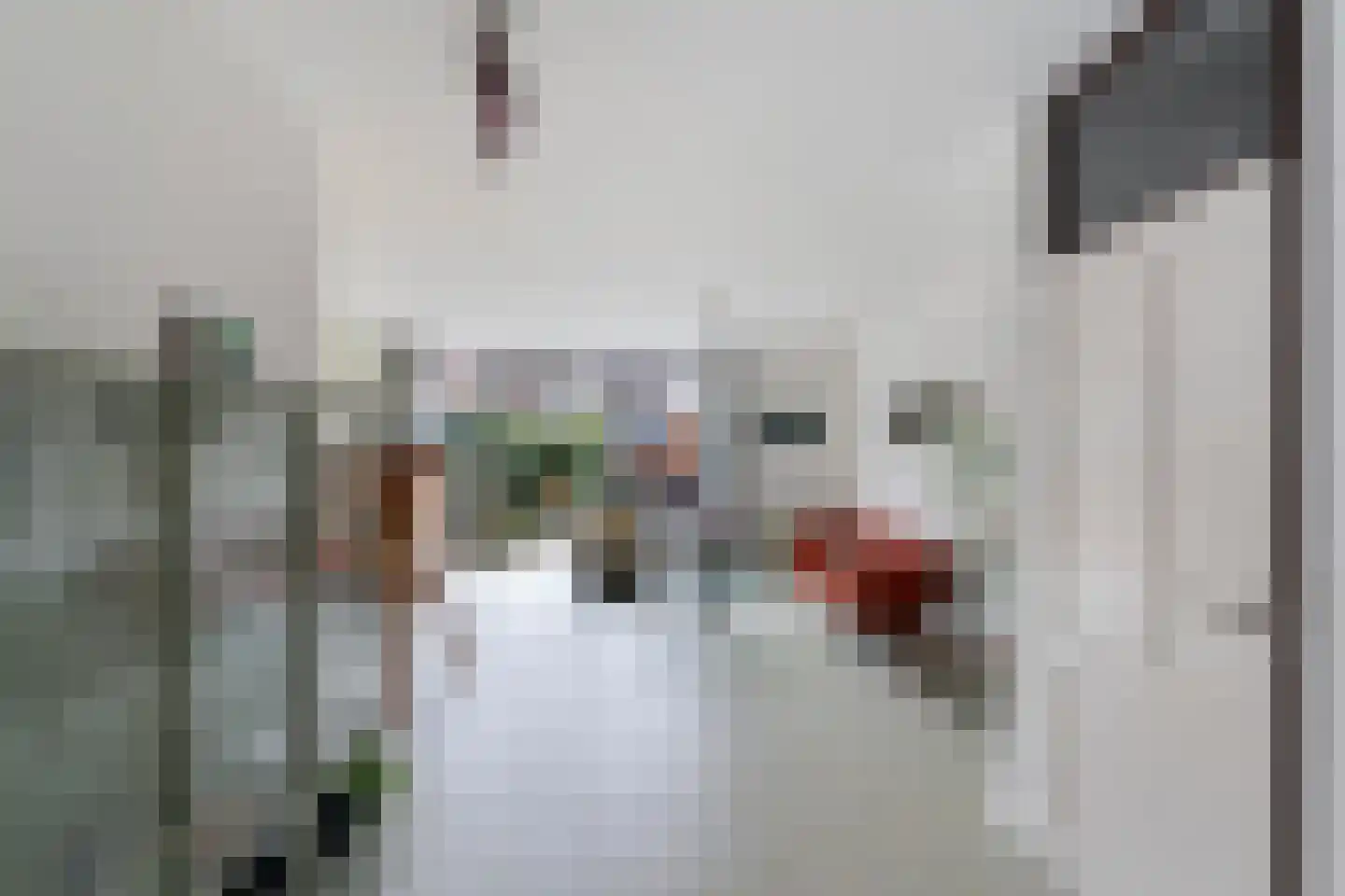 Buis 14 Maassluis thumbnail 4