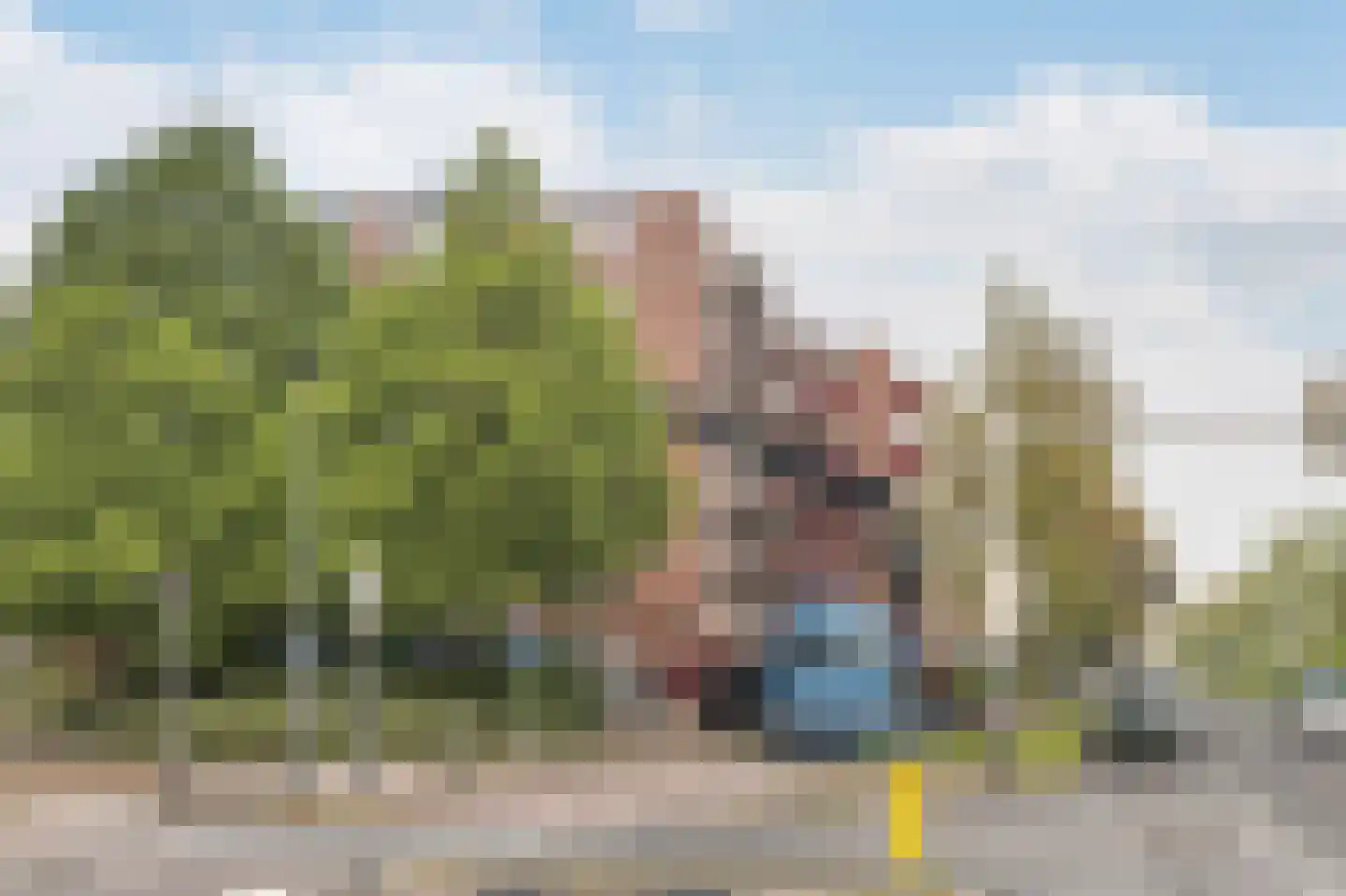 Buis 147 Maassluis thumbnail 25