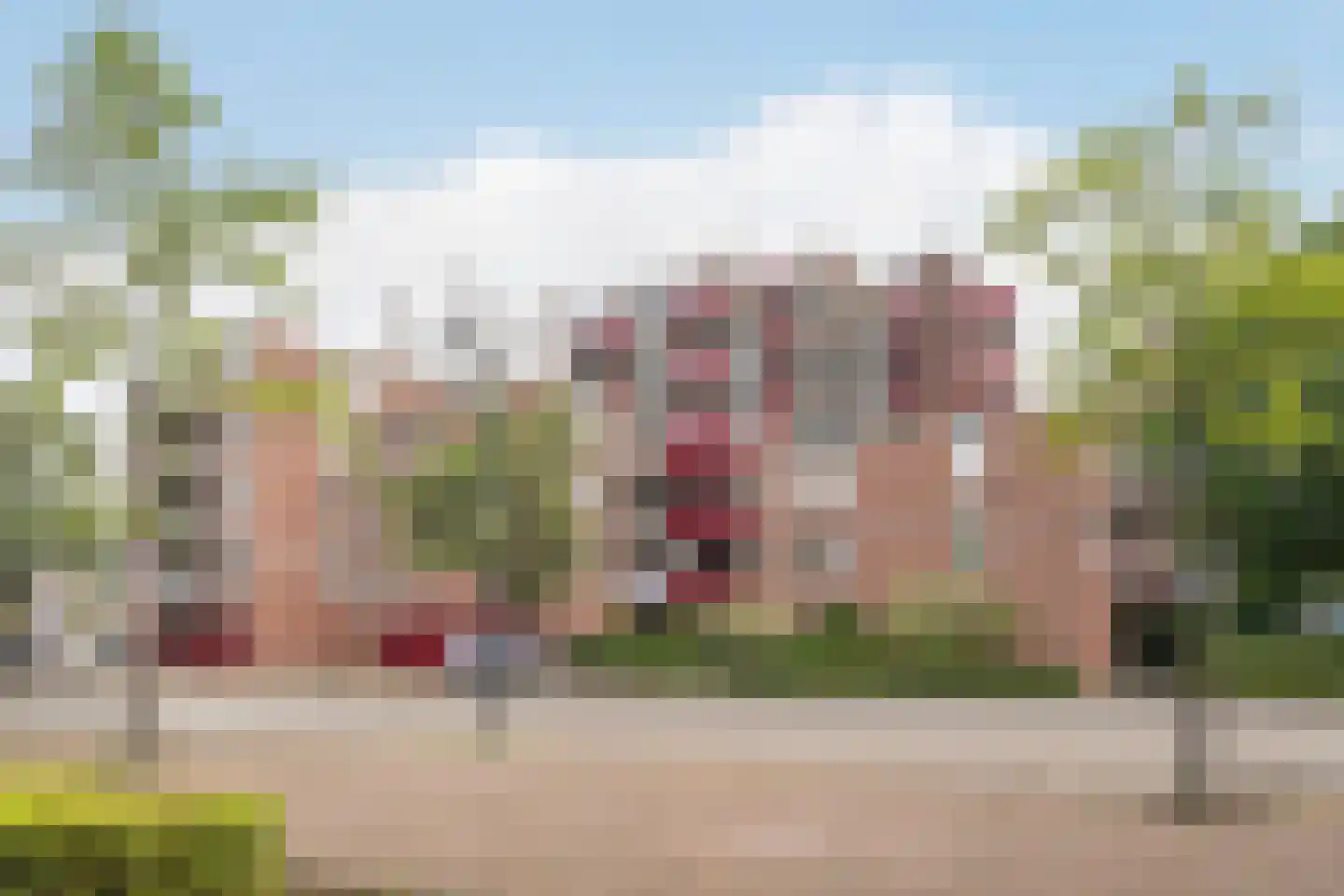 Buis 147 Maassluis thumbnail 26