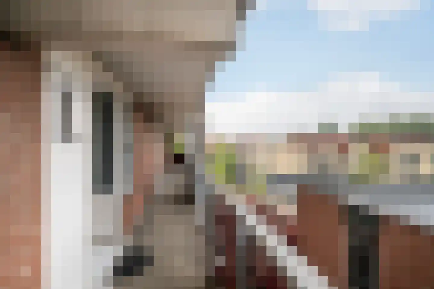 Buis 147 Maassluis thumbnail 5