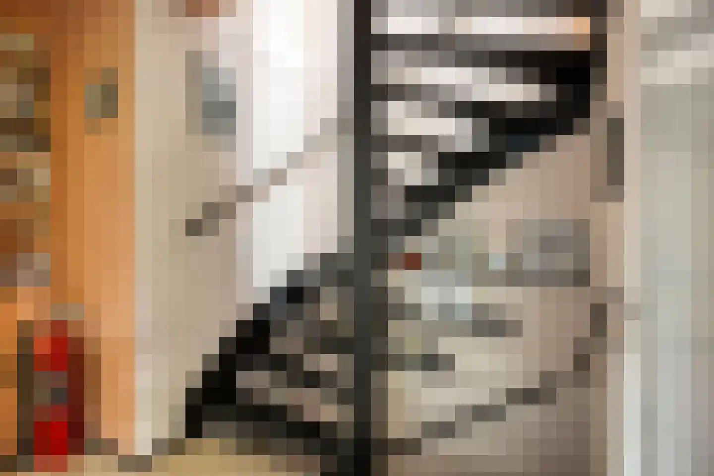 Buis 29 Schiedam thumbnail 18