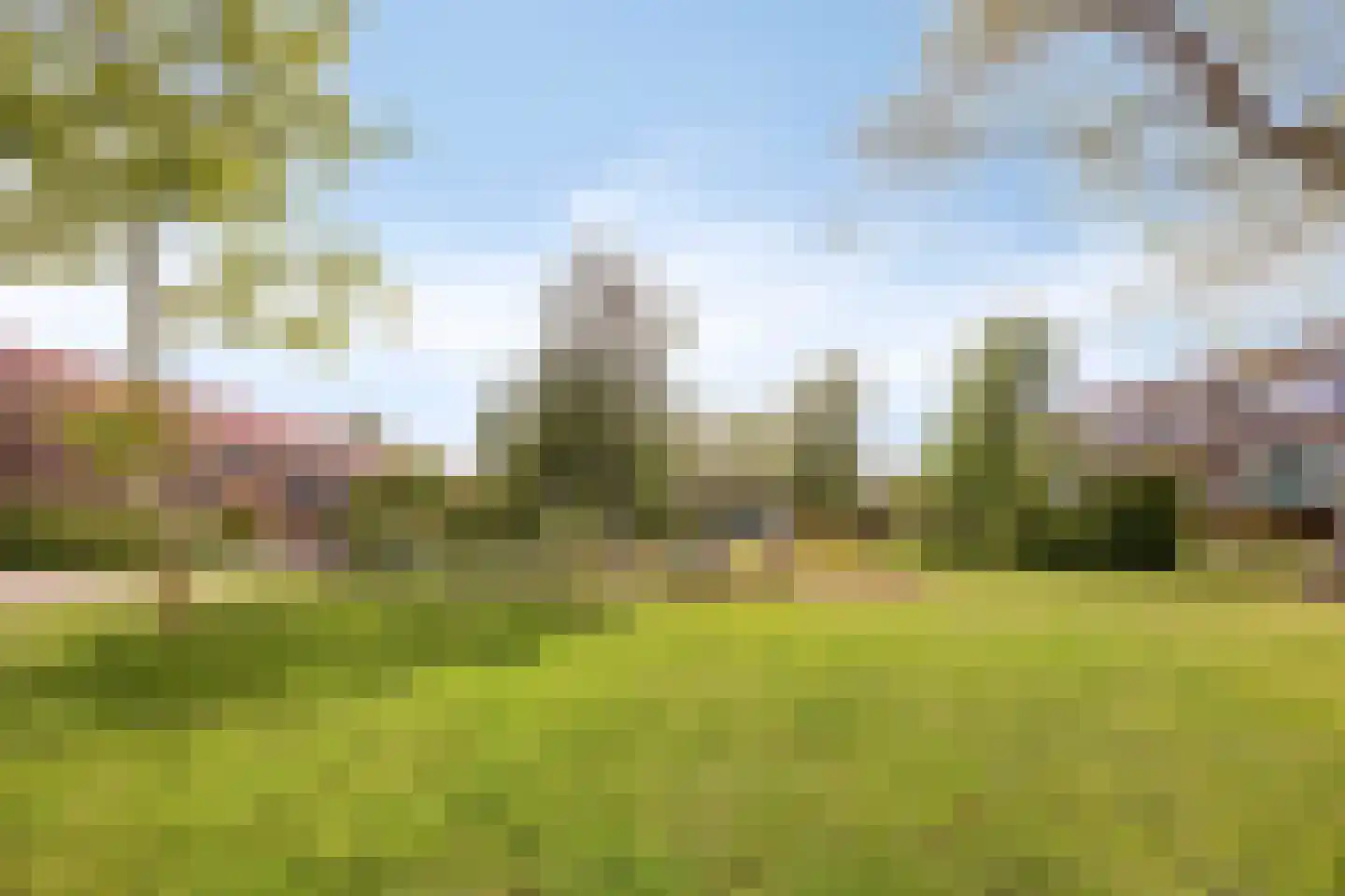 Buis 29 Schiedam thumbnail 24