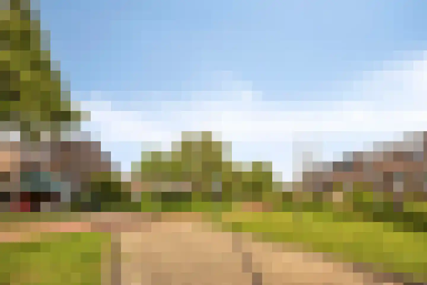 Buis 29 Schiedam thumbnail 26