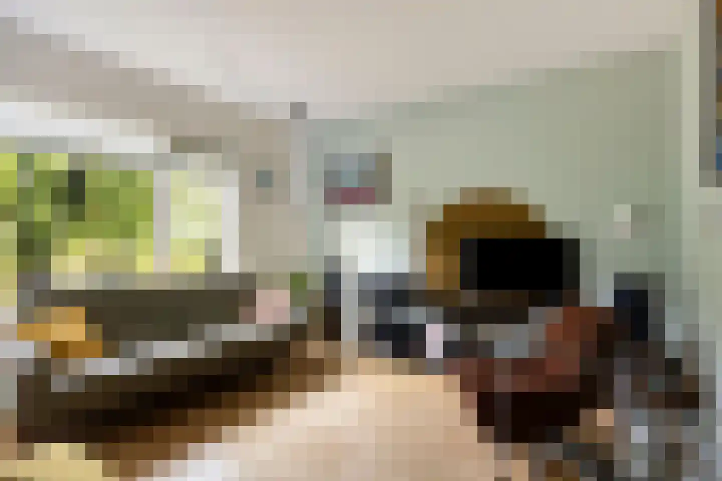 Buis 29 Schiedam thumbnail 6