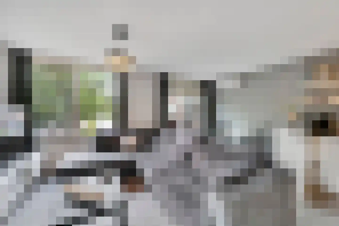 Buis 91 Maassluis thumbnail 11