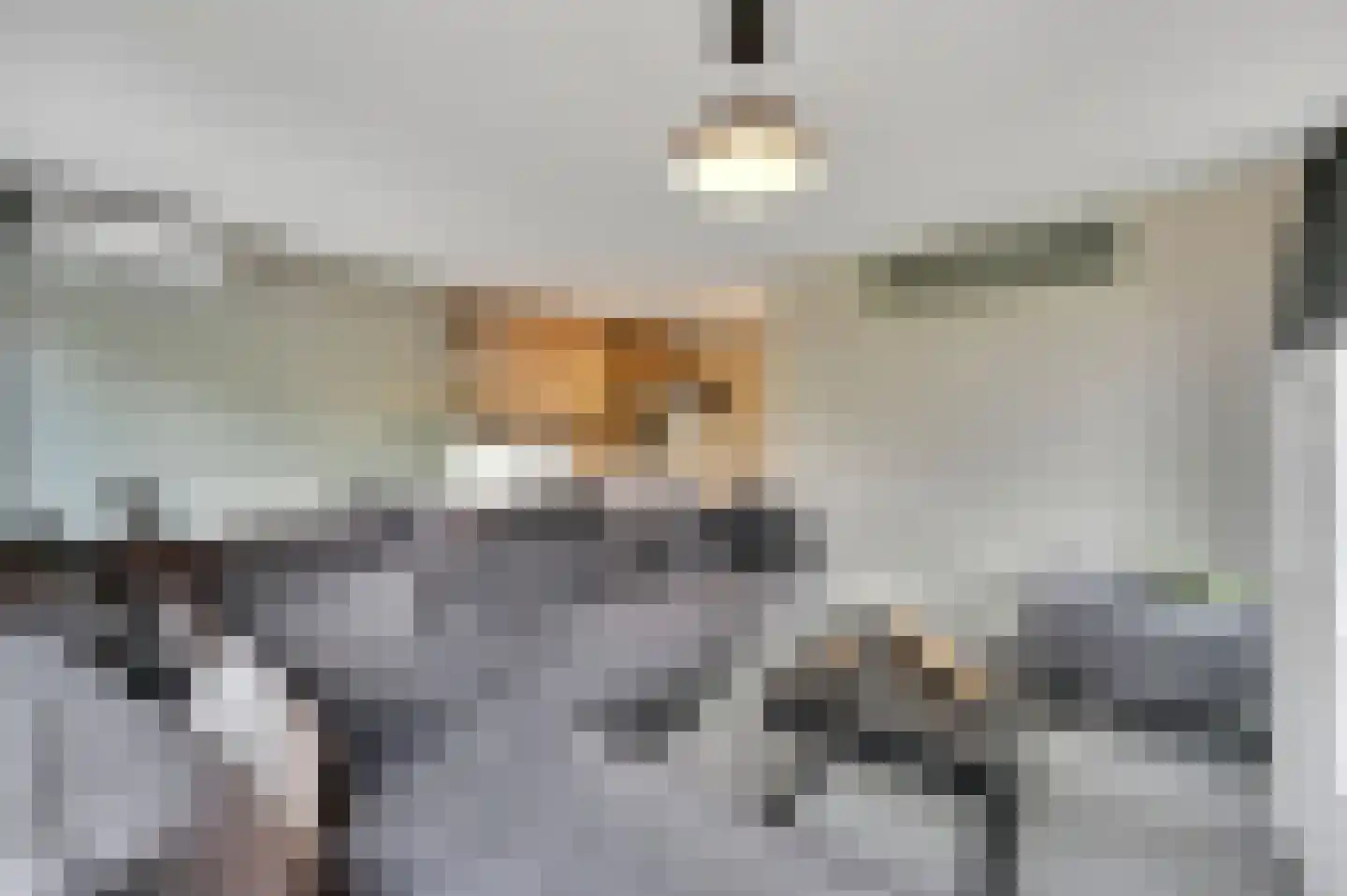 Buis 91 Maassluis thumbnail 13