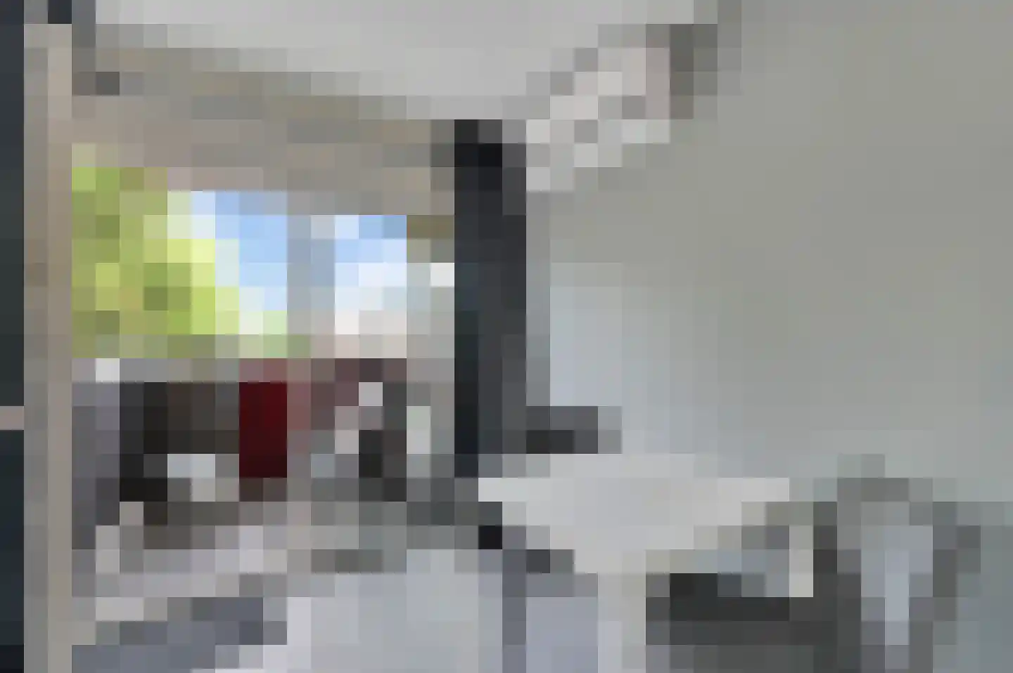 Buis 91 Maassluis thumbnail 18