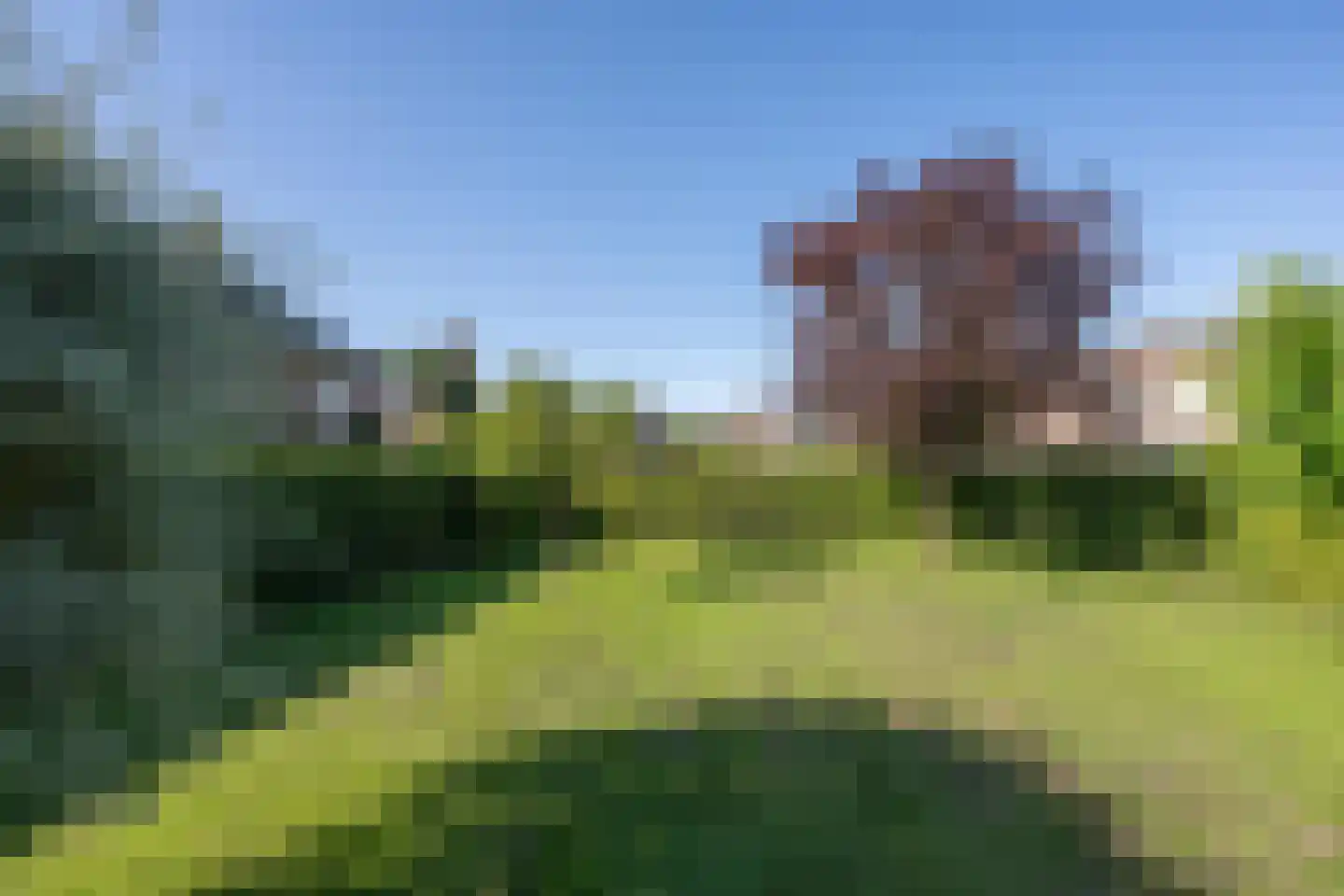 Buisjesstraat Lienden thumbnail 11