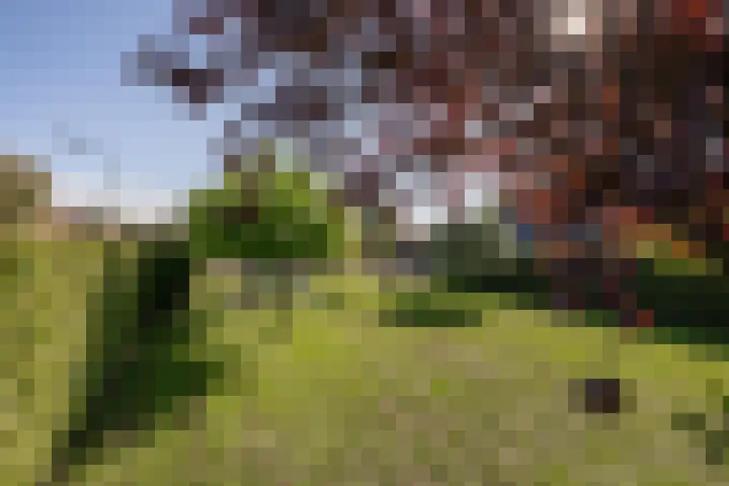 Buisjesstraat Lienden thumbnail 12