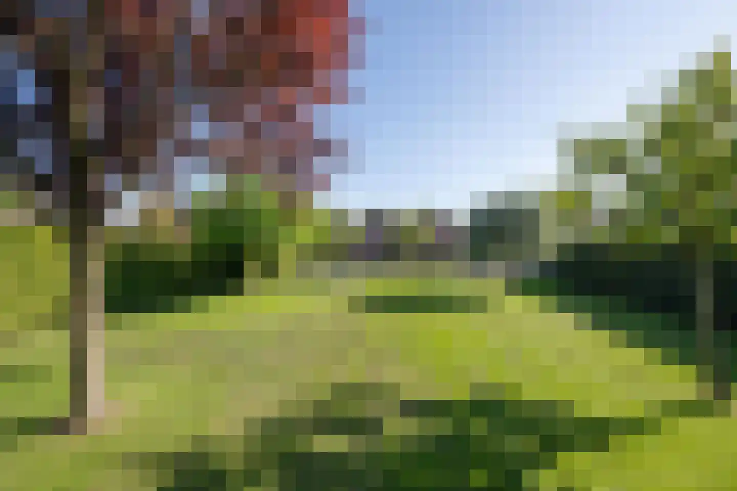 Buisjesstraat Lienden thumbnail 13