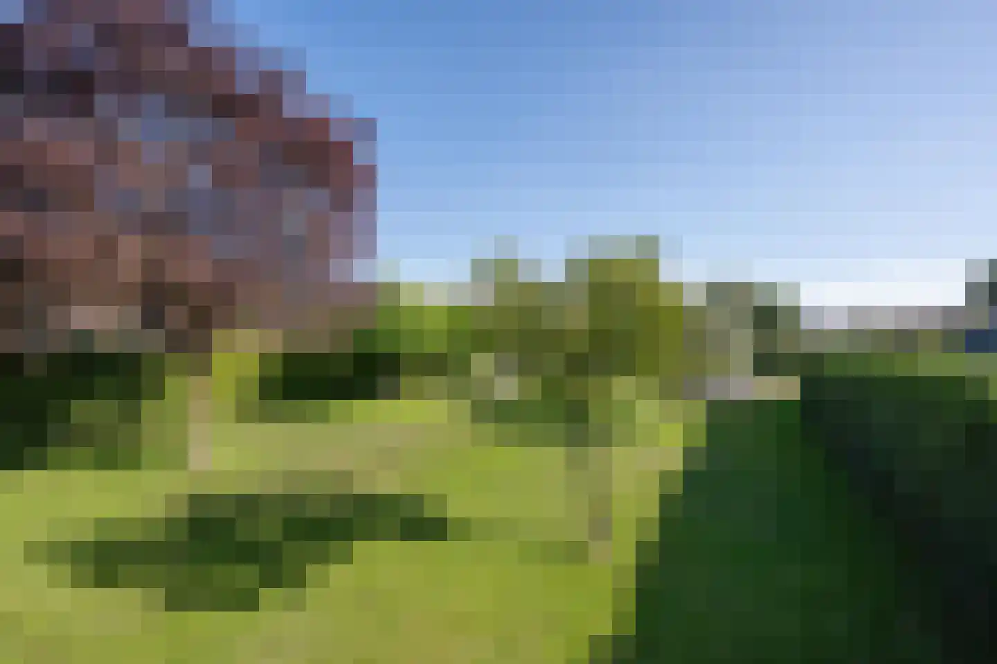 Buisjesstraat Lienden thumbnail 14