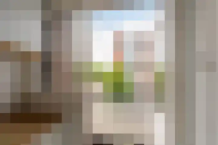 Buislaan 50 A Rotterdam thumbnail 12