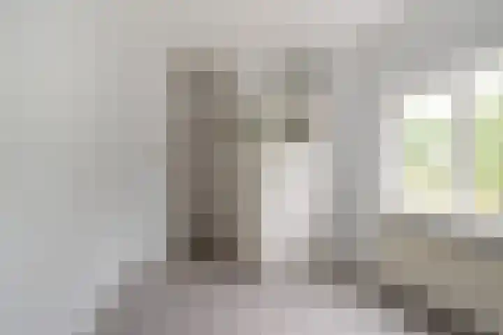 Buislaan 50 A Rotterdam thumbnail 17