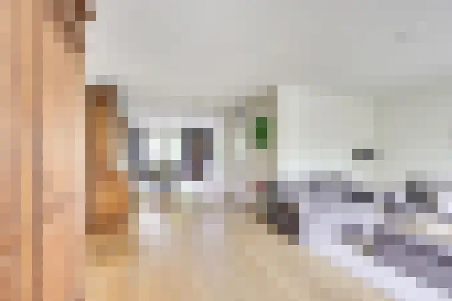 Buiswater 11 Houten thumbnail 10