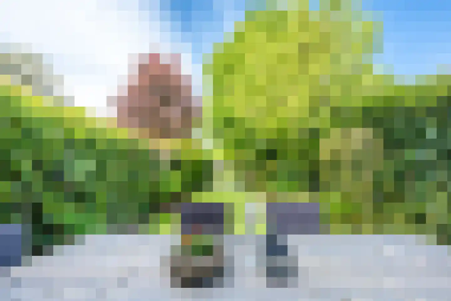 Buiswater 11 Houten thumbnail 18