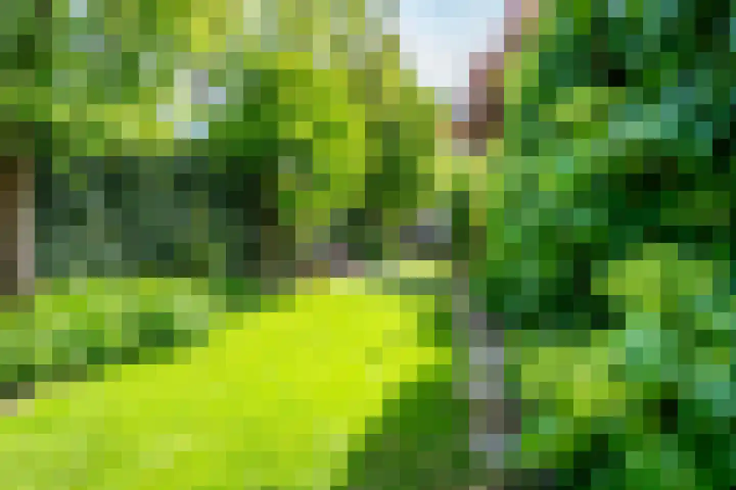 Buiswater 11 Houten thumbnail 23