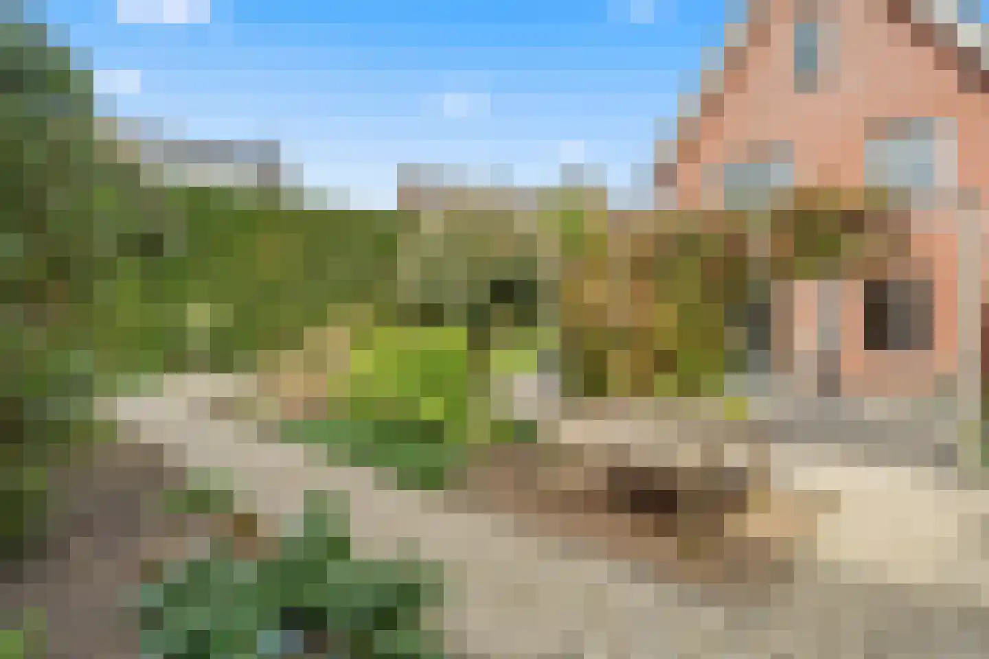 Buiswater 34 Houten thumbnail 19