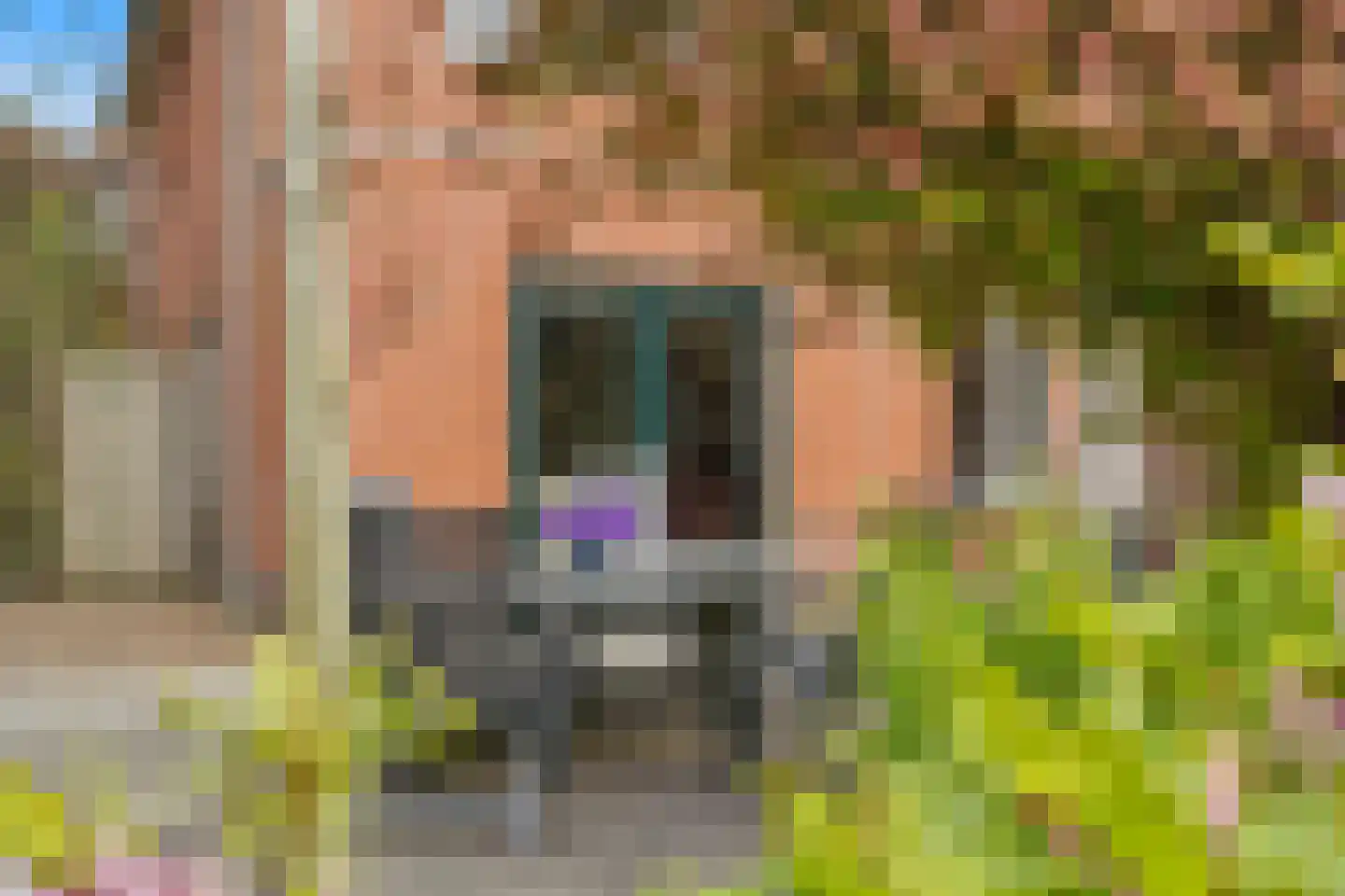 Buiswater 34 Houten thumbnail 21