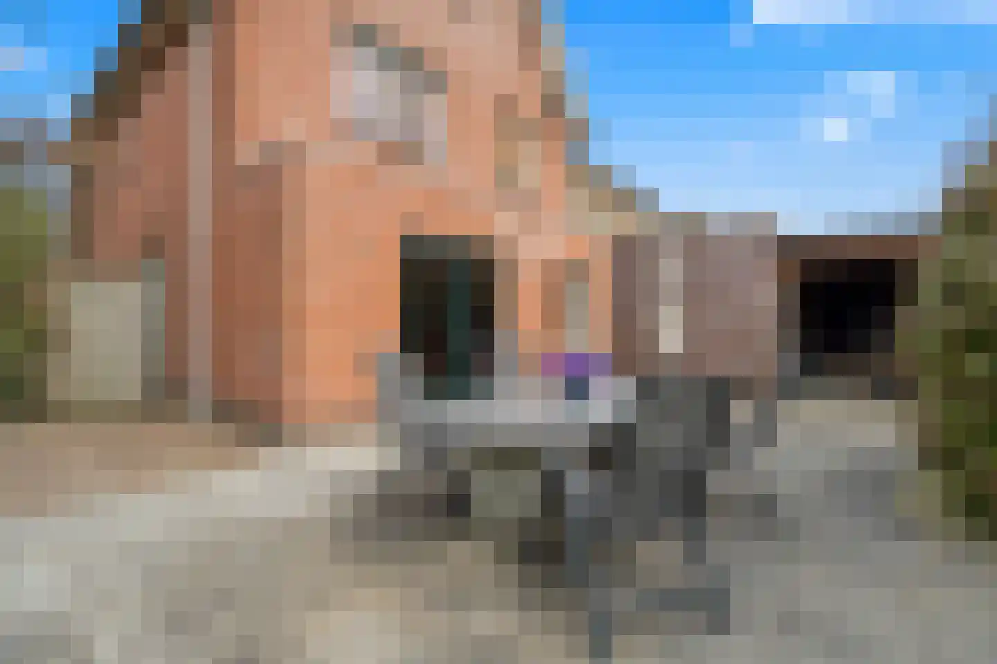 Buiswater 34 Houten thumbnail 22