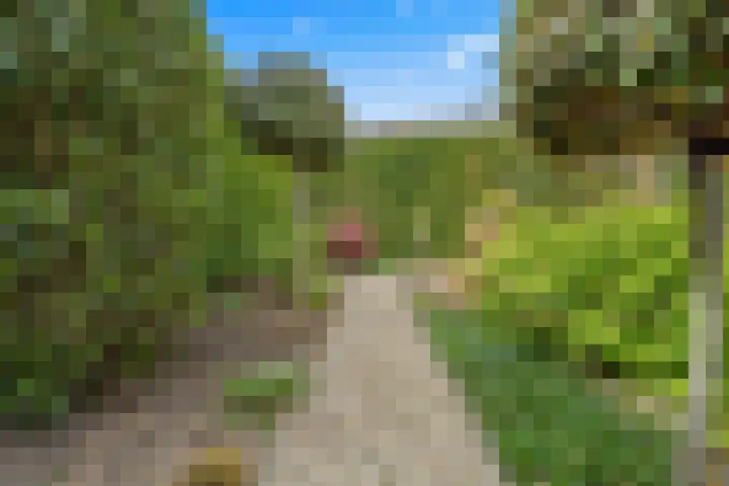 Buiswater 34 Houten thumbnail 27