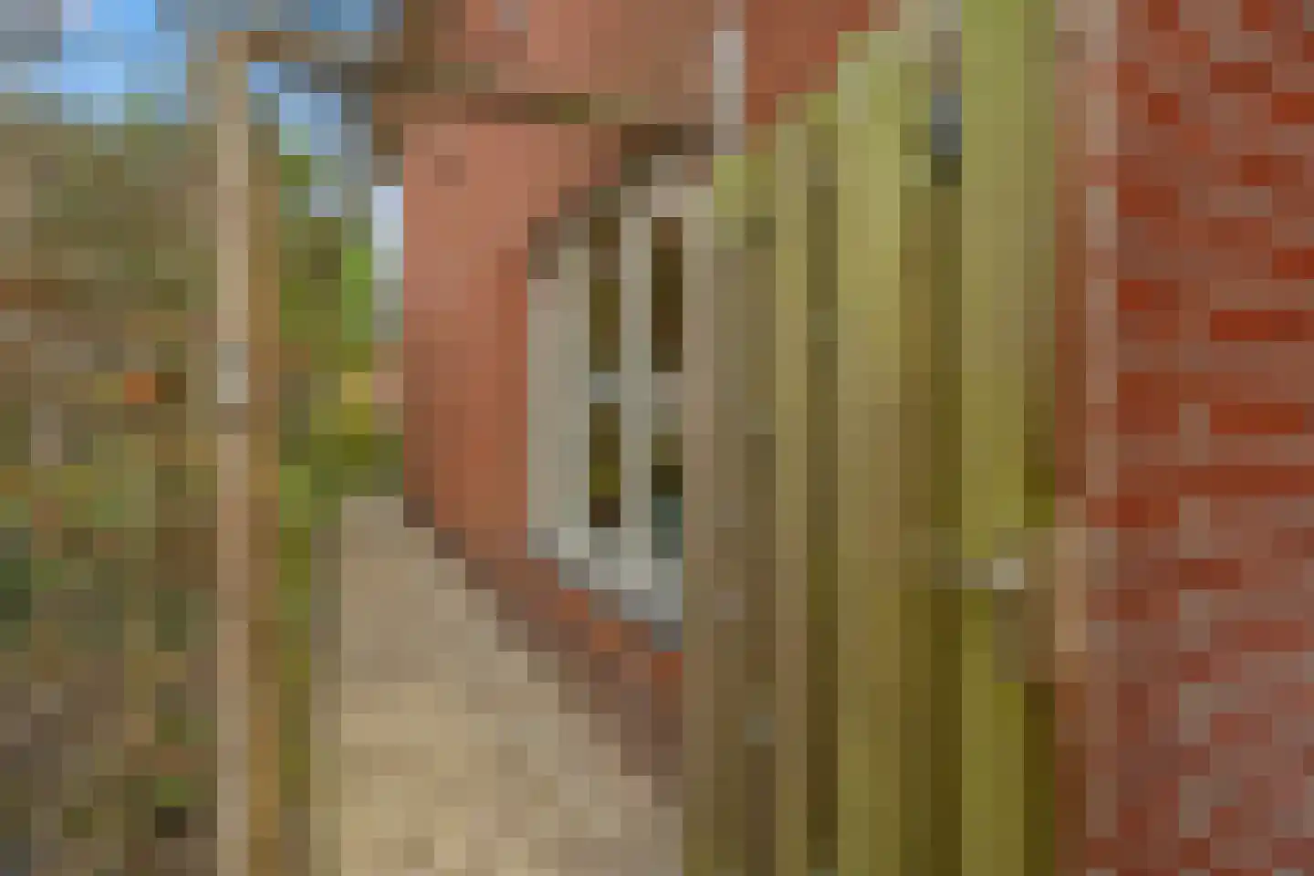 Buiswater 34 Houten thumbnail 28