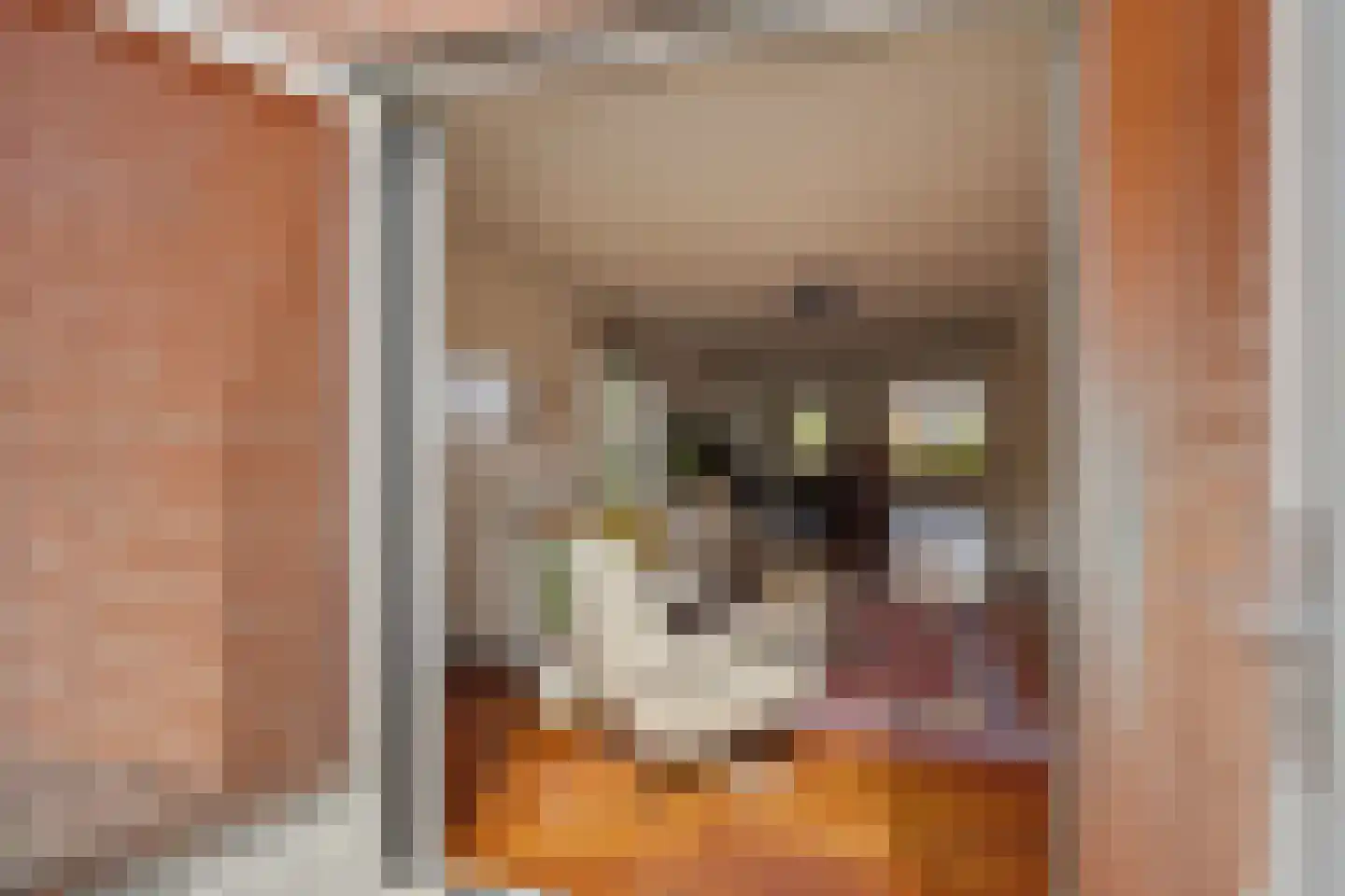 Buiswater 34 Houten thumbnail 8
