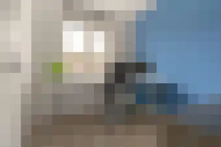 Buiswater 37 Houten thumbnail 13
