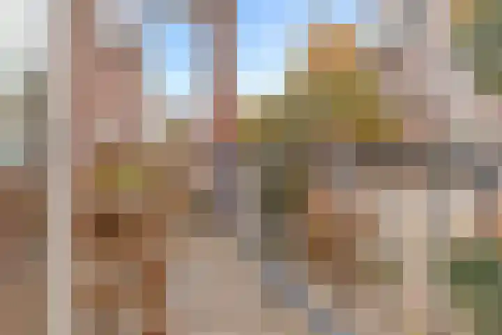 Buiswater 37 Houten thumbnail 17