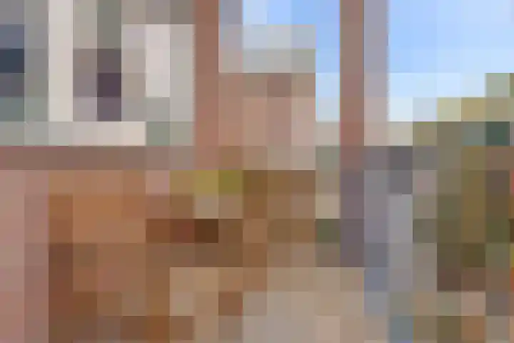 Buiswater 37 Houten thumbnail 18