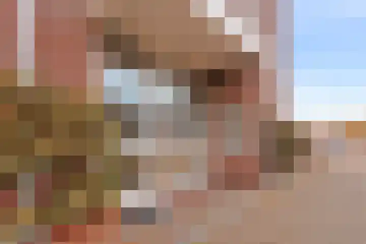 Buiswater 37 Houten thumbnail 19