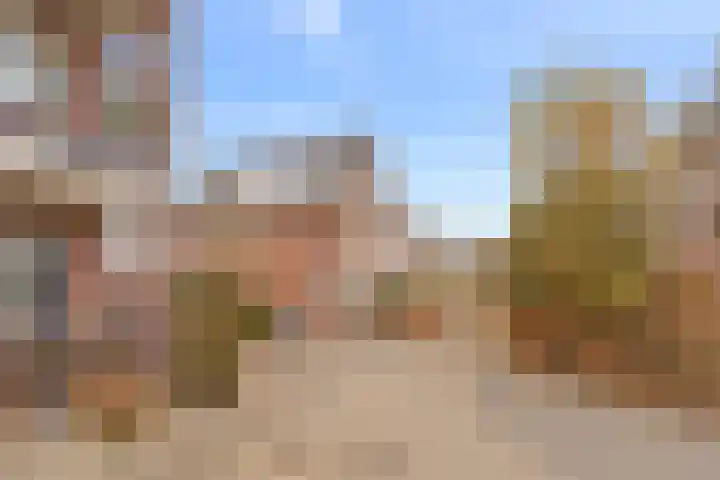 Buiswater 37 Houten thumbnail 21