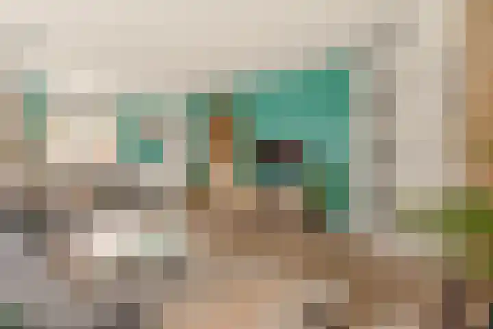 Buiswater 37 Houten thumbnail 5