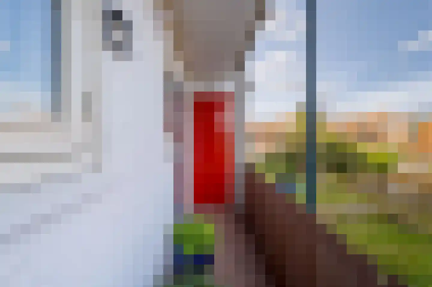 Buisweg 160 Hilversum thumbnail 12