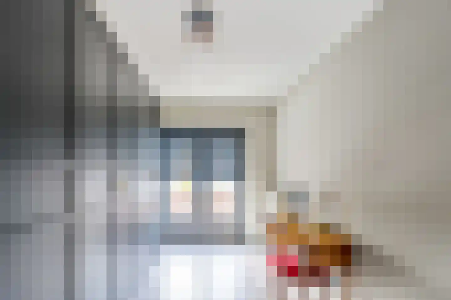 Buisweg 160 Hilversum thumbnail 22