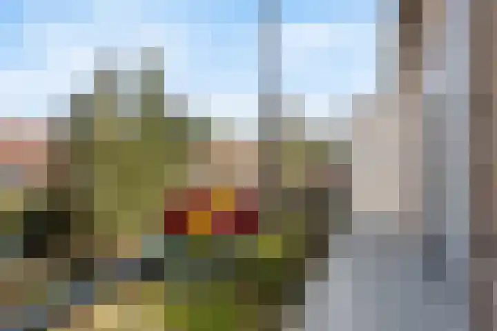 Buisweg 162 Hilversum thumbnail 30